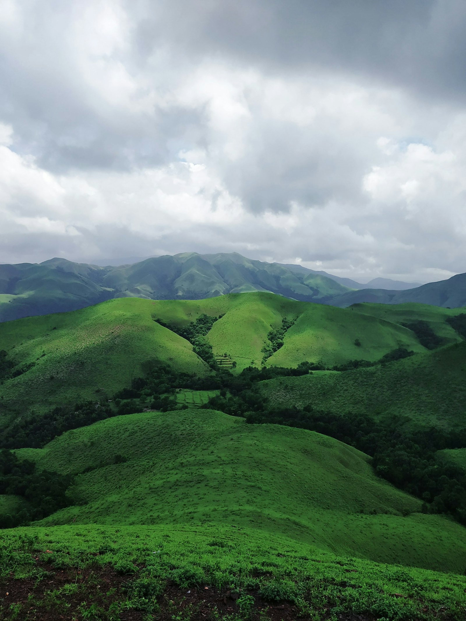 We will be discovering Chikkamagaluru 8 We will be discovering Chikkamagaluru