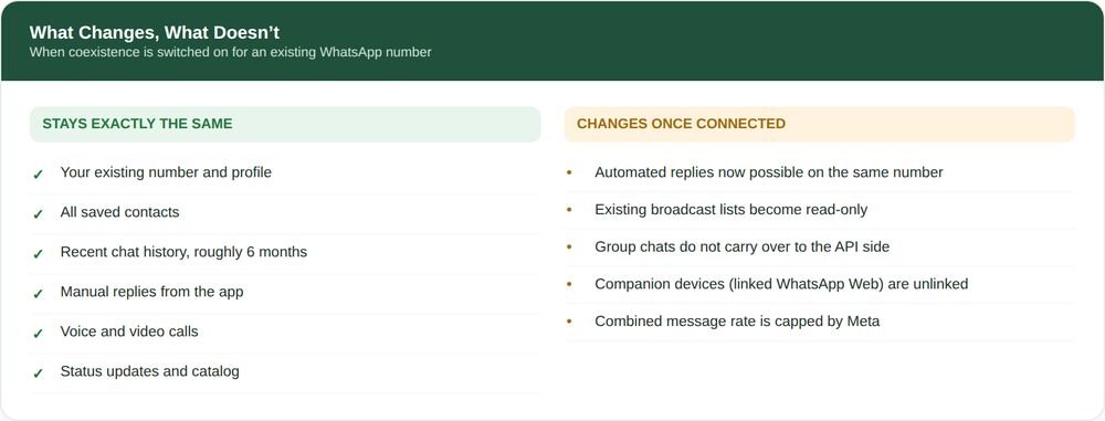 WhatsApp Coexistence 3 What Changes, What Doesn’t comparison panel showing existing number, contacts, chat history, manual replies and calls staying exactly the same, alongside what changes such as automated replies becoming possible and broadcast lists becoming read only