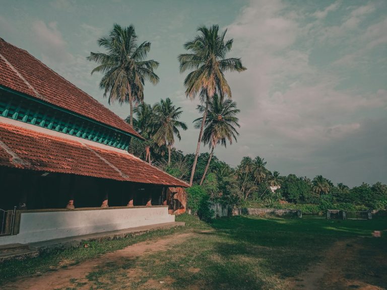 Homestay vs Hotel: What Guests Are Really Choosing Between