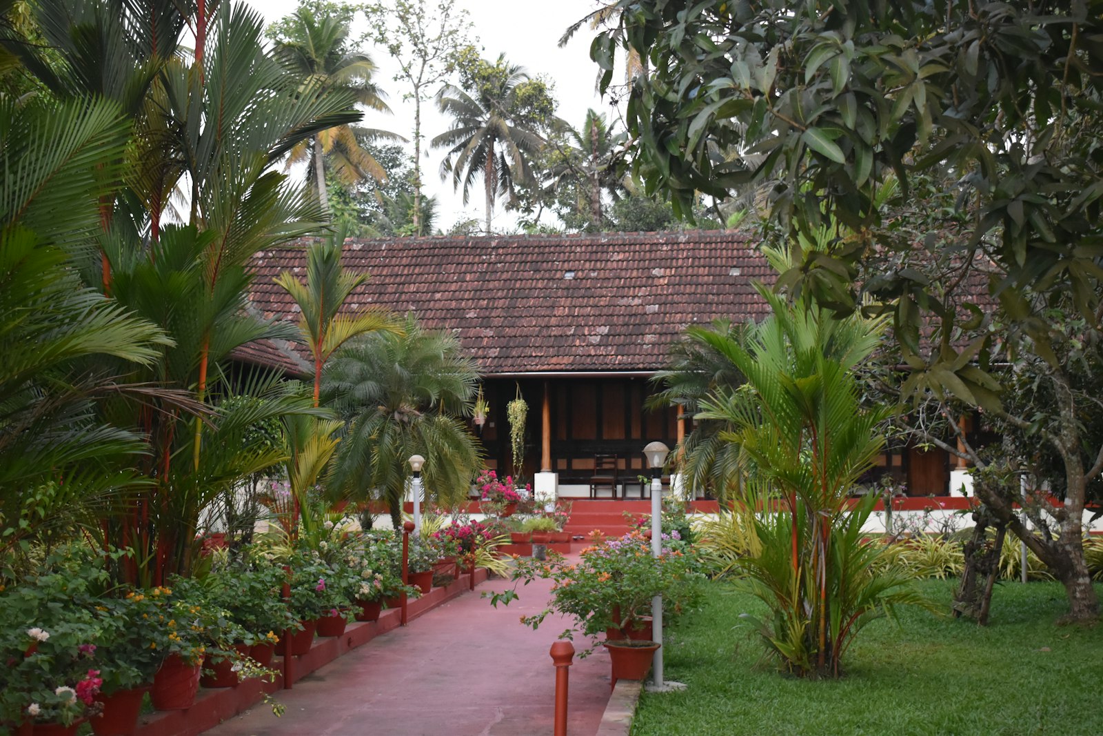 Why Guests Remember Homestays 1 A traditional Kerala homestay with red-tiled roof, surrounded by green trees and a garden path